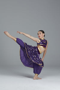Bollywood - Stardom Dance Costumes